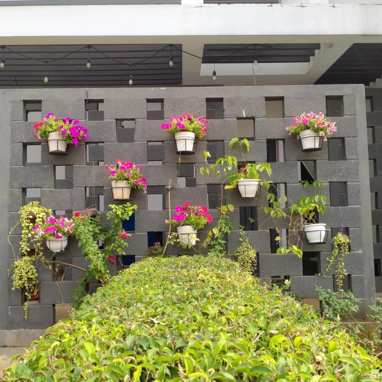 Eco Green Villa - Oceanami - Long Hải - 3&4 Phòng Ngủ Exterior foto